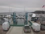 East Greenwich - Greenwich Cove Marina