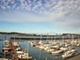 Newport - Embarcadero Marina