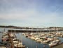 Newport - Embarcadero Marina