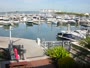 Tampa - Westshore Yacht Club Marina