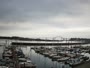 Newport - Embarcadero Marina