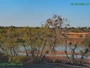 Westminster - Standley Lake Regional Park - Aquile calve