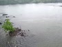 West Columbia - Congaree River