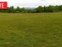 LaFollette - Hatfield Knob Elk