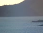Shoal Bay - Port Stephens Bay