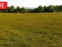 LaFollette - Hatfield Knob Elk