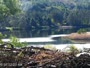 Quechee - VINS Nature Center - Orły bieliki