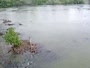 West Columbia - Congaree River