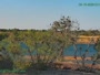 Westminster - Standley Lake Regional Park - Aquile calve
