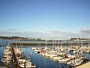 Newport - Embarcadero Marina