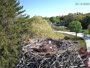Falmouth - Waquoit Bay Reserve - Osprey Nest