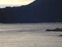 Shoal Bay - Port Stephens Bay