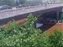 Atlanta - Peachtree Creek