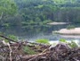 Quechee - VINS Nature Center - Nido di aquila calva