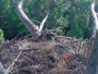 Hilton Head Island - Adlernest