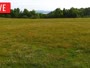 LaFollette - Hatfield Knob Elk