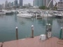 Miami - Venetian Marina