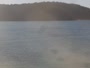 Batemans Bay
