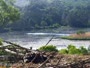 Quechee - VINS Nature Center - Bald Eagles nest