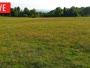 LaFollette - Hatfield Knob Elk