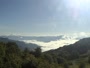 Smoky Mountains - Purchase Knob
