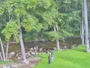 Big Sur - Big Sur River Inn