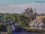 Westminster - Standley Lake Regional Park - Águilas calvas