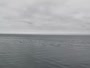 Monterey - Cannery Row