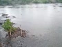 West Columbia - Congaree River