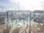 East Greenwich - Greenwich Cove Marina