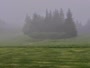 Fritz Creek - Kenai Peninsula