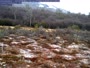 Navarino - Puerto Williams - Parque Etnobotánico Omora