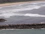 Evans Head - Evans River