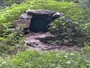 Lewisboro - Wolf Conservation Center - Wilki
