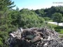 Falmouth - Waquoit Bay Reserve - Rybołów
