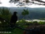 Quechee - VINS Nature Center - Orły bieliki
