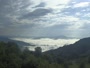 Parco nazionale delle Great Smoky Mountains - Purchase Knob
