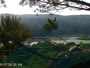 Quechee - VINS Nature Center - Nido di aquila calva