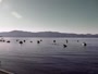 Carnelian Bay - Lago Tahoe