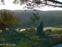 Quechee - VINS Nature Center - Nido de águilas calvas