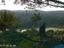 Quechee - VINS Nature Center - Weißkopfseeadler-Nest