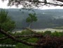 Quechee - VINS Nature Center - Plikųjų erelių lizdas