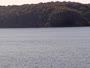 Batemans Bay