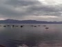 Carnelian Bay - Lake Tahoe