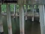 Olanta - Lynches River