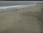 Del Mar Beach
