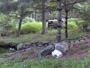 Lewisboro - Wolf Conservation Center