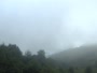 Parco nazionale delle Great Smoky Mountains - Purchase Knob