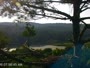Quechee - VINS Nature Center - Nido di aquila calva