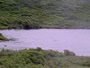 Kodiak - Dog Salmon River